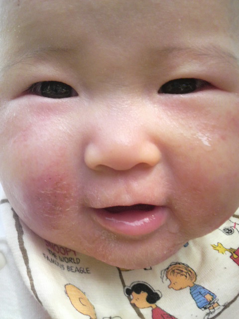 2010050814330001.jpg