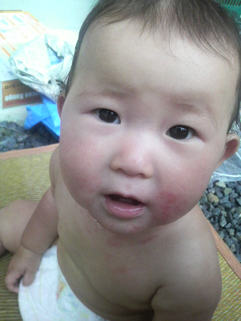 2010081616500000.jpg