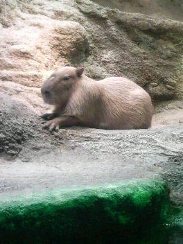 2010092915210000.jpg