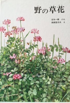 野の草花
