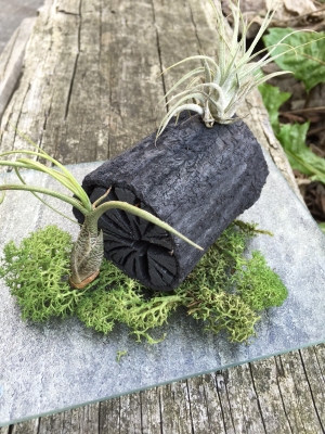 花炭アレンジ洋