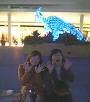 ささみ&じろー。本日の待機場所にて☆