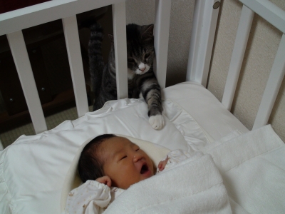 掌に興味津々♪