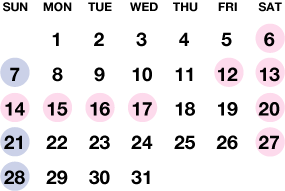 cal08