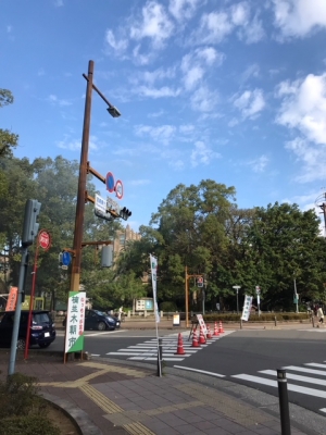 image1.jpeg
