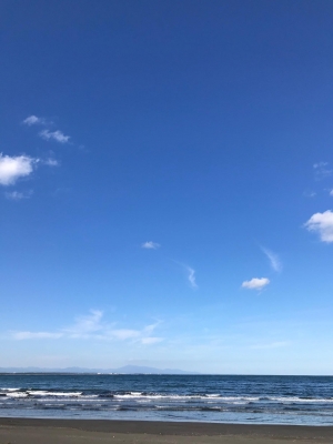 image1.jpeg