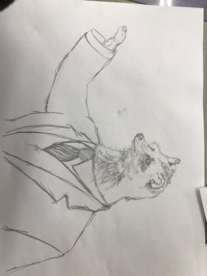 image1.jpeg