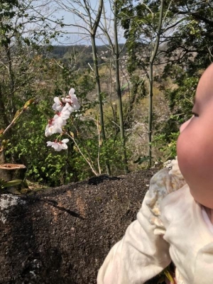 image1.jpeg