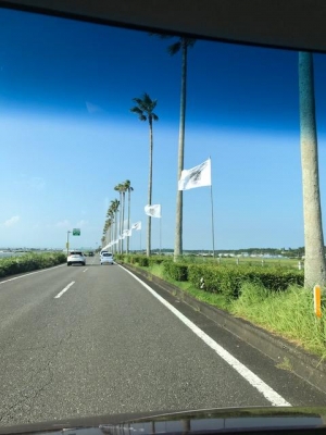 image1.jpeg