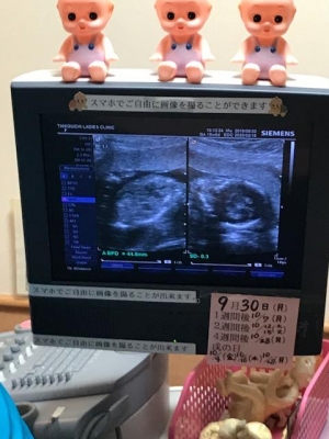 image1.jpeg