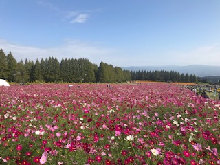 A4946C75-9811-4438-9C37-194F15E1317D.JPG