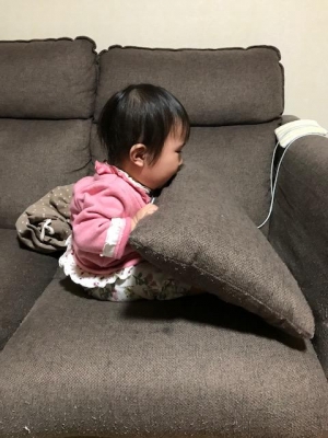 image1.jpeg