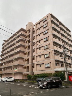 bab6ec31-5d65-4a7b-9e0b-d1d39c8ca276.jpg