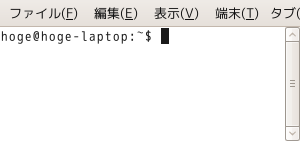 Ubuntu 端末画面