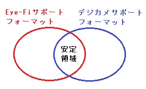 Eye-Fi ¥Ç¥¸¥«¥á ¥Õ¥©¡¼¥Þ¥Ã¥È·Á¼°