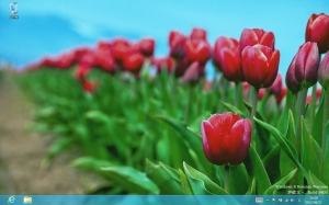 Windows8 Release Preview + MSI WindPad 110W