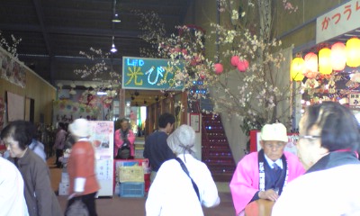 上勝町のビックひな祭り2010