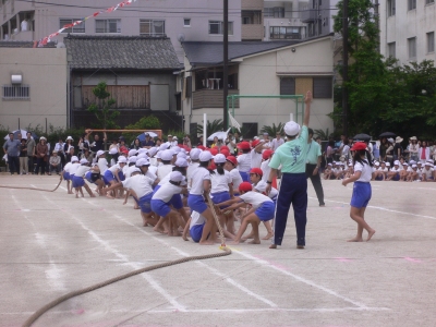 博多小運動会綱引き