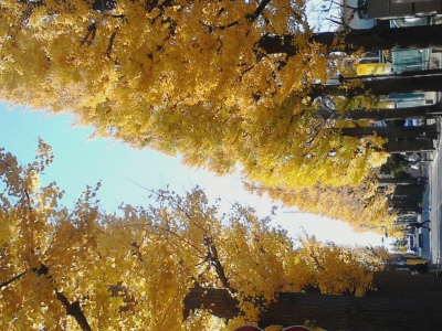 K0050097.JPG