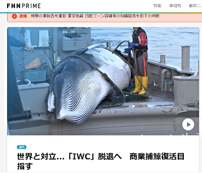 FNN