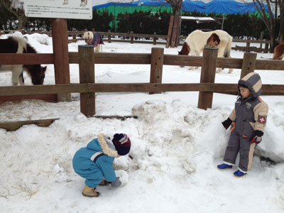 雪の動物園 大森山動物園 にて あきたイクメンネットワーク 秋田市パパサークル