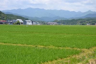 ハタハタ館