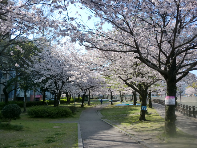 甲突川