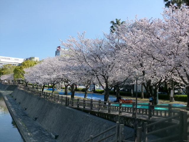 甲突川