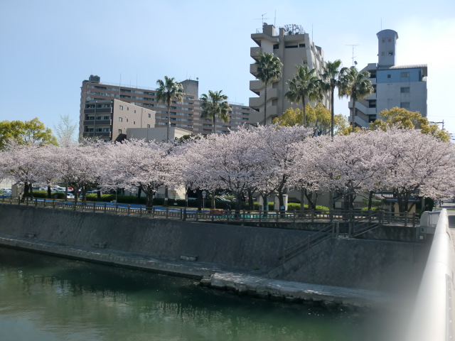 甲突川