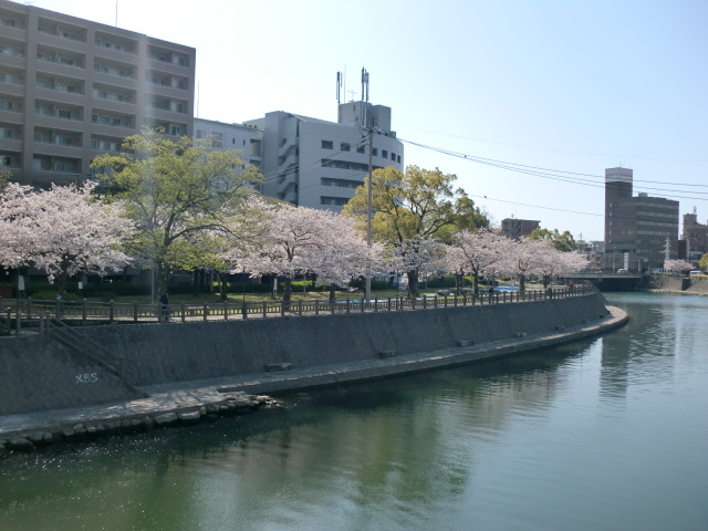 甲突川