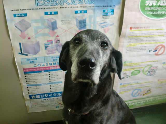 ブログ画像 339.jpg