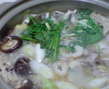 20090104181152.jpg