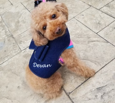 Devan リボン付きメッシュハーネス リード付きandもう1セット ハーネス リボン】 通販で犬用のリードや首輪をお探しならDEVAN