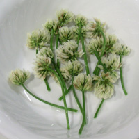 �����ĥ᥯���β�