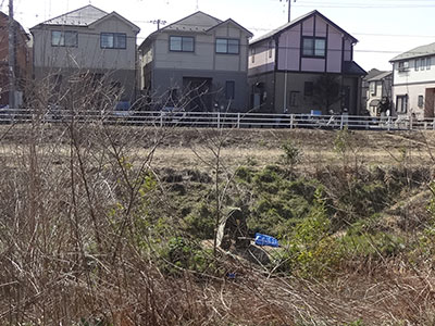 鳥見さんのブラインド