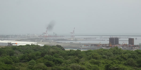ひたち海浜公園から望む海