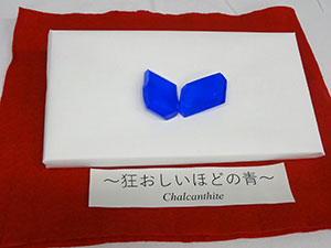 東京大学柏キャンパスの一般公開