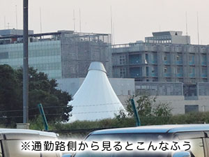 ホワイトライノII