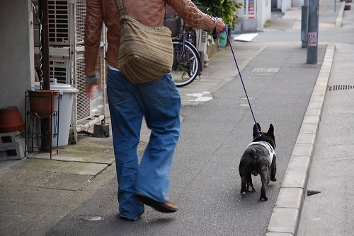 kotaro