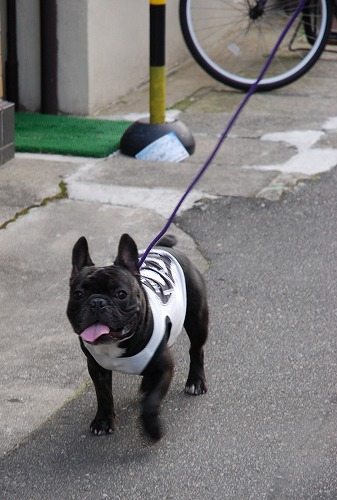 kotaro
