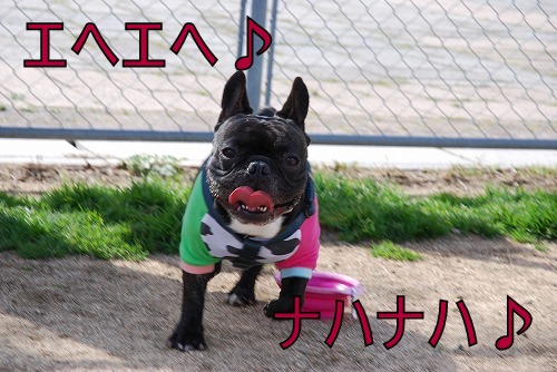 kotaro
