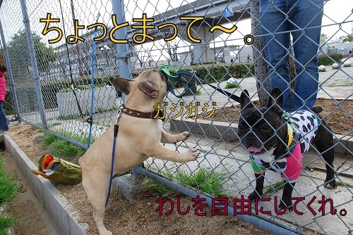 kotaro&¤ª¡¼¤Á¤ã¤ó