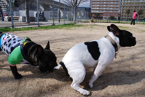 kotaro&¤³¤Þ¤ë¤Á¤ã¤ó