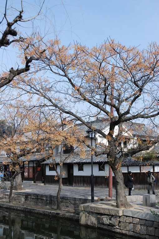 kusakusa