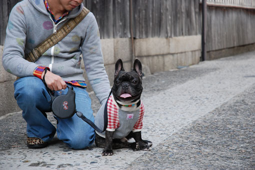 kotaro