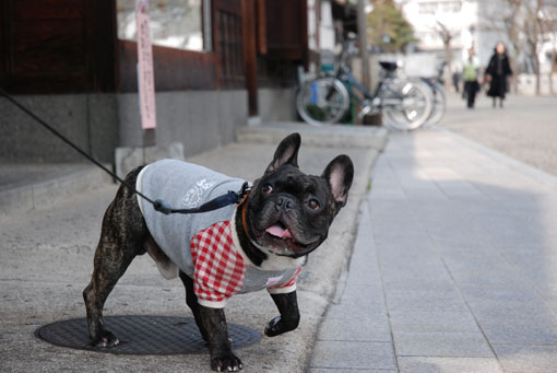 kotaro