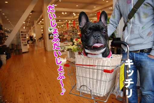 kotaro