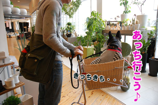 kotaro