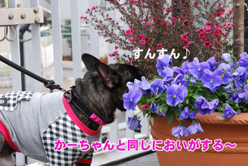 kotaro