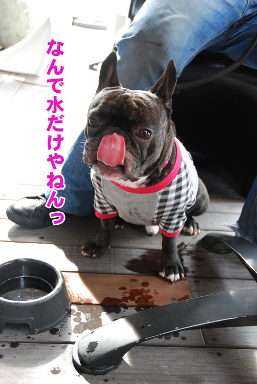 kotaro